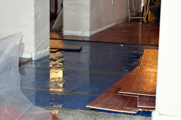 Professional Emergency Water Damage Restoration technician working in New Site, MS